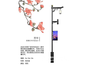 智慧路灯ZH2018 智慧路灯ZH2018